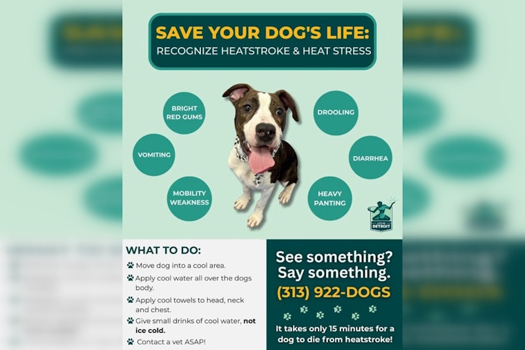 Detroit Authorities Issue Extreme Heat Warning, Urge Protection for Pets Amid Soaring Temperatures