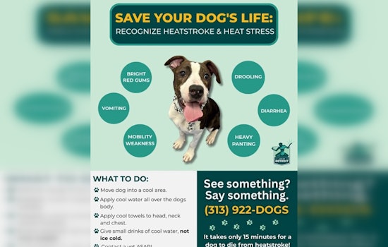 Detroit Authorities Issue Extreme Heat Warning, Urge Protection for Pets Amid Soaring Temperatures