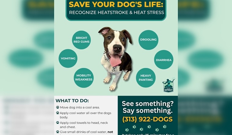 Detroit Authorities Issue Extreme Heat Warning, Urge Protection for Pets Amid Soaring Temperatures