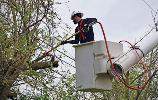 Dublin Ohio Residents Alerted to AEP Ohio's Upcoming Tree Trimming Near Power Lines for Grid Stability