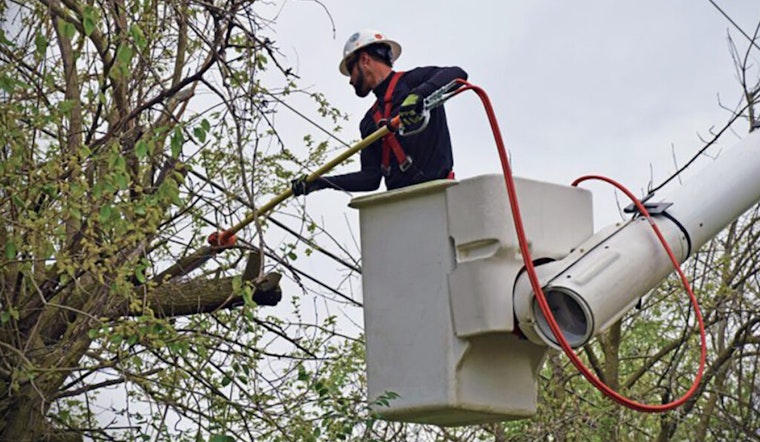 Dublin Ohio Residents Alerted to AEP Ohio's Upcoming Tree Trimming Near Power Lines for Grid Stability
