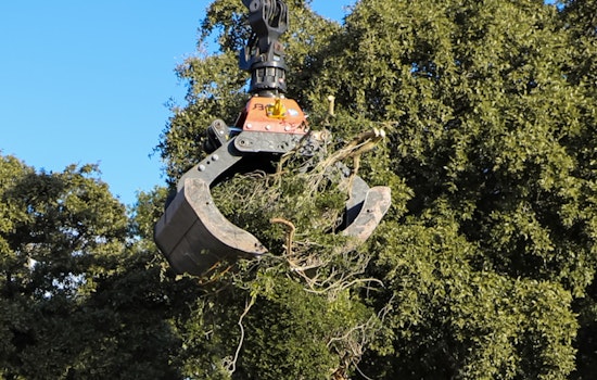 Duncanville Ramps Up Post-Storm Cleanup with Additional Brush and Bulk Trash Pickup Services