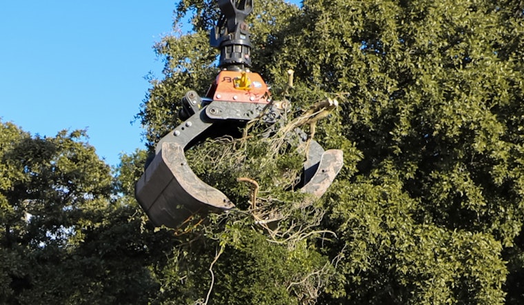 Duncanville Ramps Up Post-Storm Cleanup with Additional Brush and Bulk Trash Pickup Services