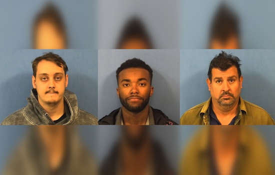 DuPage County Sting Leads to Charges Against Three Men for Allegedly Targeting Minor