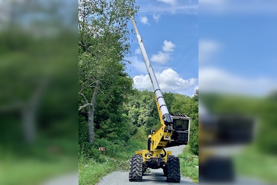 East Maple Lake Access Closure: Wright County to Remove Hazard Trees on June 26