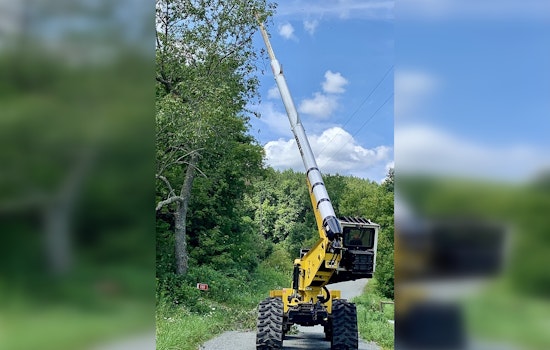 East Maple Lake Access Closure: Wright County to Remove Hazard Trees on June 26