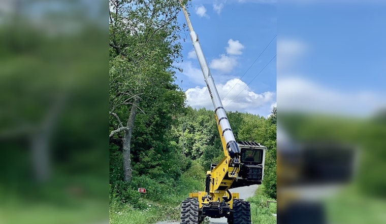 East Maple Lake Access Closure: Wright County to Remove Hazard Trees on June 26