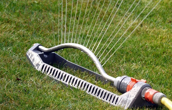 Eden Prairie Issues Summer Guidelines: Odd/Even Lawn Watering Days, Vegetation and Pet Waste Rules