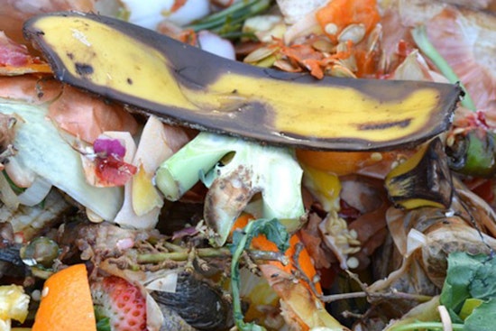 State Law Requires Curbside Organics Recycling; Eden Prairie Encourages Residents to Lighten Their Environmental Footprint