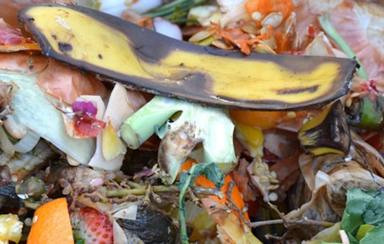 State Law Requires Curbside Organics Recycling; Eden Prairie Encourages Residents to Lighten Their Environmental Footprint