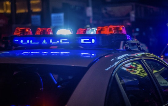 Eight Arrested at Collierville Gathering on Drug and Firearm Charges, Police Seize Illegal Substances and Handgun