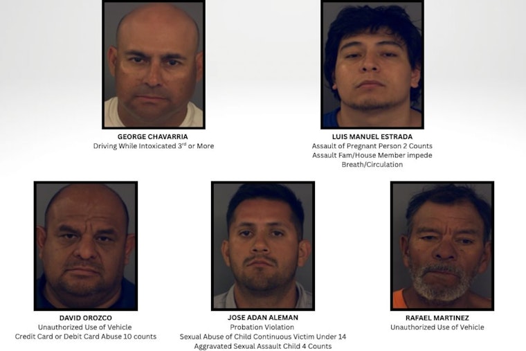 El Paso County Sheriff's Office Arrests 14 in Latest Joint Warrant Initiative to Strengthen Public Safety