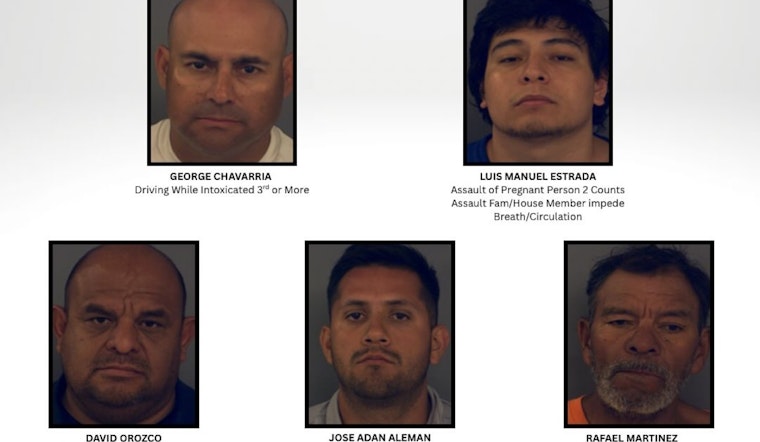El Paso County Sheriff's Office Arrests 14 in Latest Joint Warrant Initiative to Strengthen Public Safety