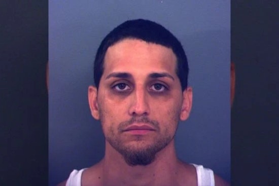 El Paso Man Arrested for Animal Cruelty After Firing Gel Blaster at Dog on Social Media
