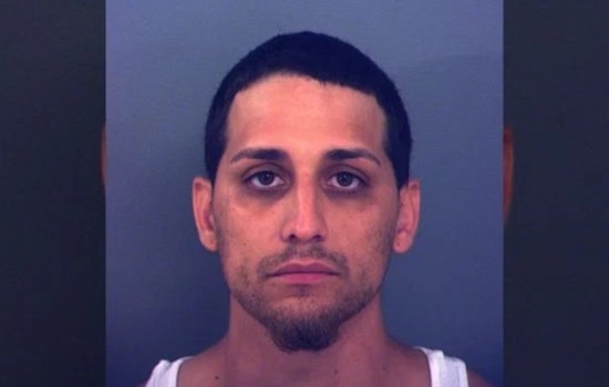 El Paso Man Arrested for Animal Cruelty After Firing Gel Blaster at Dog on Social Media