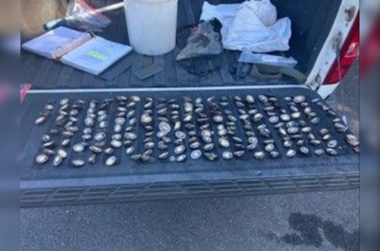 'Ewa Beach Man Banned from Pūpūkea Marine Area After Guilty Verdict for Illegal Collection