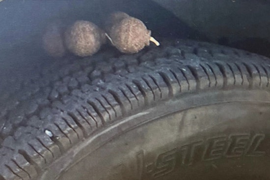 Firestorm Fury in Brooklyn as Explosive Devices Found Among Burned NYPD Vehicles in Suspected Bushwick Arson Rampage