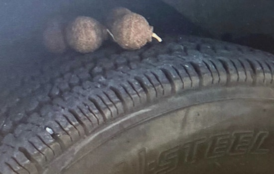 Firestorm Fury in Brooklyn as Explosive Devices Found Among Burned NYPD Vehicles in Suspected Bushwick Arson Rampage