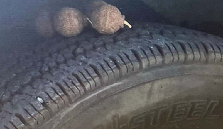 Firestorm Fury in Brooklyn as Explosive Devices Found Among Burned NYPD Vehicles in Suspected Bushwick Arson Rampage