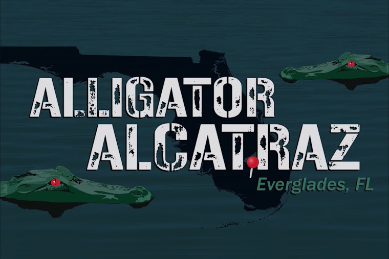 Florida Attorney General Proposes Everglades "Alligator Alcatraz" for ICE Detainees Amidst Wildlife and Ethical Concerns