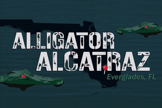 Florida Attorney General Proposes Everglades "Alligator Alcatraz" for ICE Detainees Amidst Wildlife and Ethical Concerns