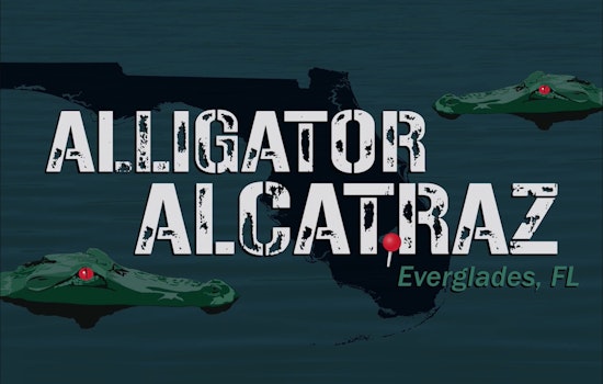 Florida Attorney General Proposes Everglades "Alligator Alcatraz" for ICE Detainees Amidst Wildlife and Ethical Concerns