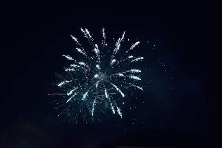 Fort Worth Pet Owners Warned: Fireworks Surge Leads to Increased Pet Distress and Lost Animals