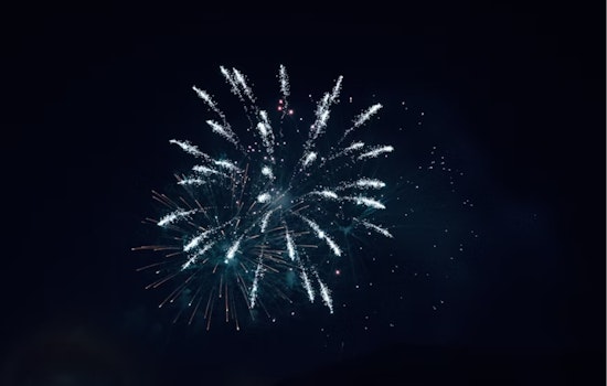 Fort Worth Pet Owners Warned: Fireworks Surge Leads to Increased Pet Distress and Lost Animals