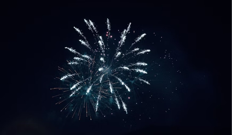 Fort Worth Pet Owners Warned: Fireworks Surge Leads to Increased Pet Distress and Lost Animals