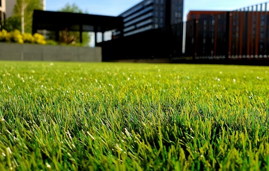 Free Lead Soil Testing Offered for Saint Paul Residents on July 15 at Eastside YMCA