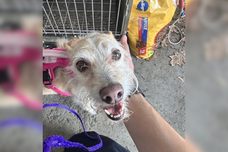 Gahanna Police Seek Public's Aid on Facebook to Reunite Lost Individual with Family