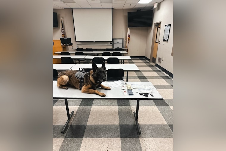 Galt Man Arrested on Gun and Drug Charges Following Traffic Stop