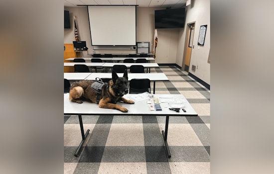 Galt Man Arrested on Gun and Drug Charges Following Traffic Stop