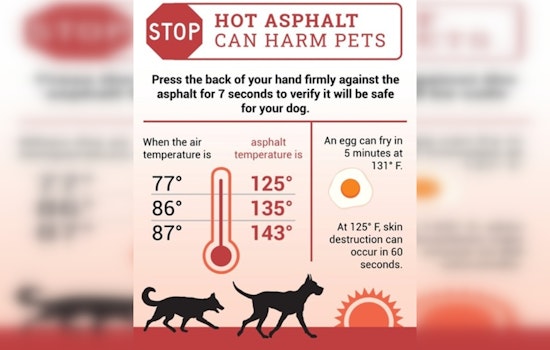Georgia Agriculture Commissioner Harper Urges Protection of Pets and Livestock Amidst Soaring Temperatures