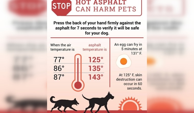 Georgia Agriculture Commissioner Harper Urges Protection of Pets and Livestock Amidst Soaring Temperatures