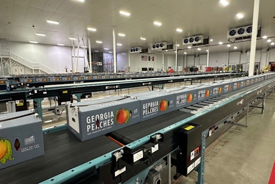 Georgia Peaches Make Triumphant Return to Mexico After 30 Years Fueled by Innovative Technology