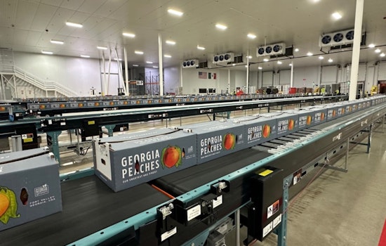 Georgia Peaches Make Triumphant Return to Mexico After 30 Years Fueled by Innovative Technology