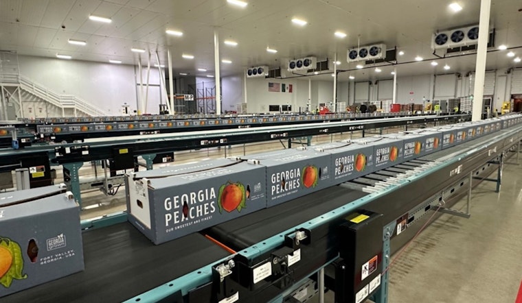 Sweet Success! Georgia Peaches Back in Mexico After 3 Decades Thanks to Cutting-Edge Tech