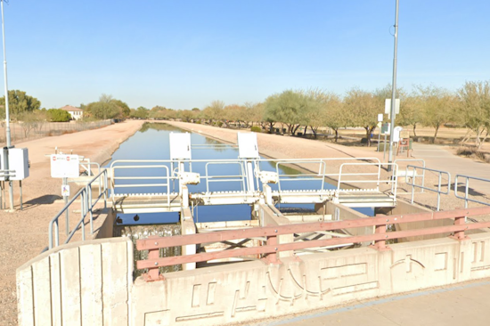 Gilbert and East Valley Communities Alarmed as Dead Ducks Surface in Local Waters