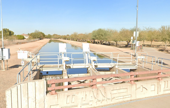Gilbert and East Valley Communities Alarmed as Dead Ducks Surface in Local Waters