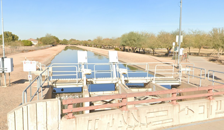 Gilbert and East Valley Communities Alarmed as Dead Ducks Surface in Local Waters