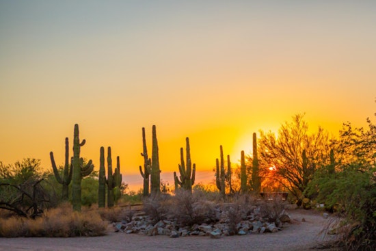 Gilbert Unveils Heat Safety Plan as Temperatures Soar, Hydration Stations, Shaded Areas, and Cool Shelters Ready