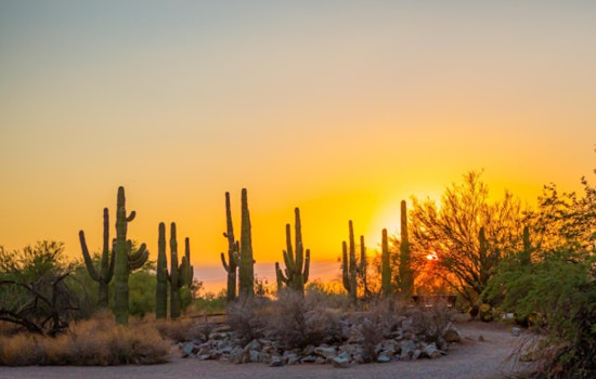 Gilbert Unveils Heat Safety Plan as Temperatures Soar, Hydration Stations, Shaded Areas, and Cool Shelters Ready