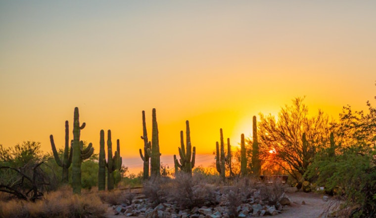 Gilbert Unveils Heat Safety Plan as Temperatures Soar, Hydration Stations, Shaded Areas, and Cool Shelters Ready