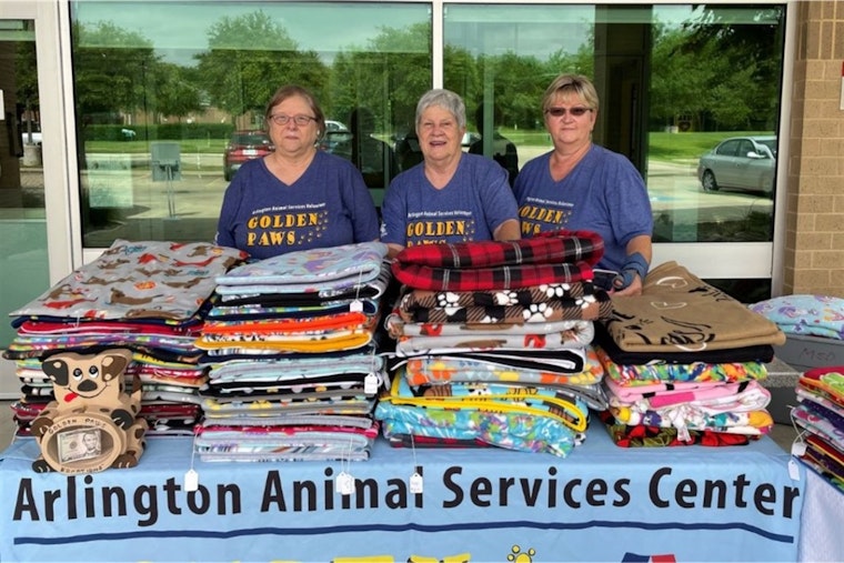 Golden PAWS: Crafting Comfort for Arlington Shelter Pets with Handmade Blankets and Toys