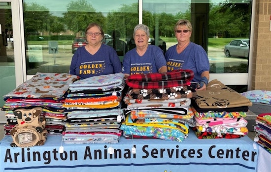 Golden PAWS: Crafting Comfort for Arlington Shelter Pets with Handmade Blankets and Toys