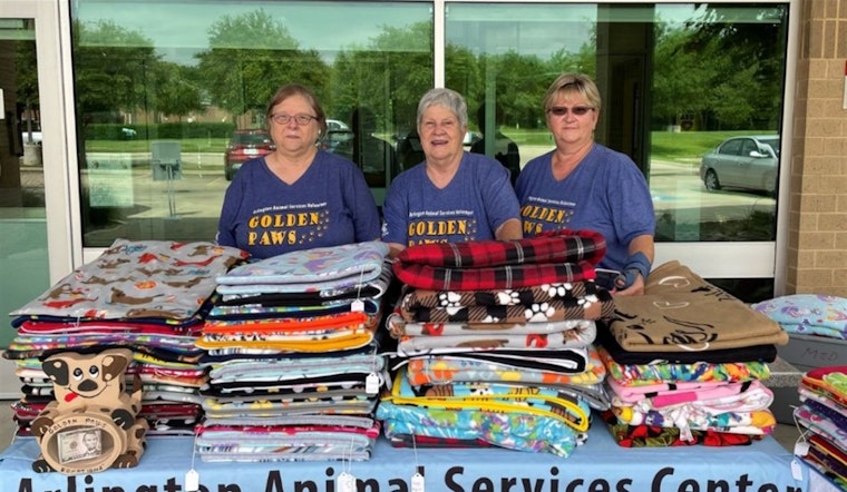Golden PAWS: Crafting Comfort for Arlington Shelter Pets with Handmade Blankets and Toys