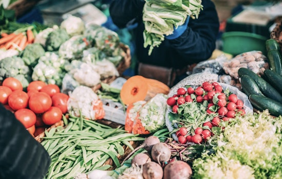 Governor Hochul Allocates $10 Million to Combat Food Deserts and Strengthen New York's Agricultural Industry