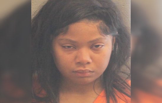 Harris County Passenger Faces Charges for Assaulting Driver and Peace Officer