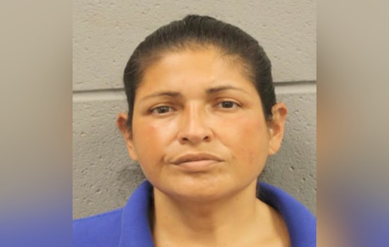 Harris County Woman Accused of Planting GPS Trackers, Warrant Issued for Her Arrest